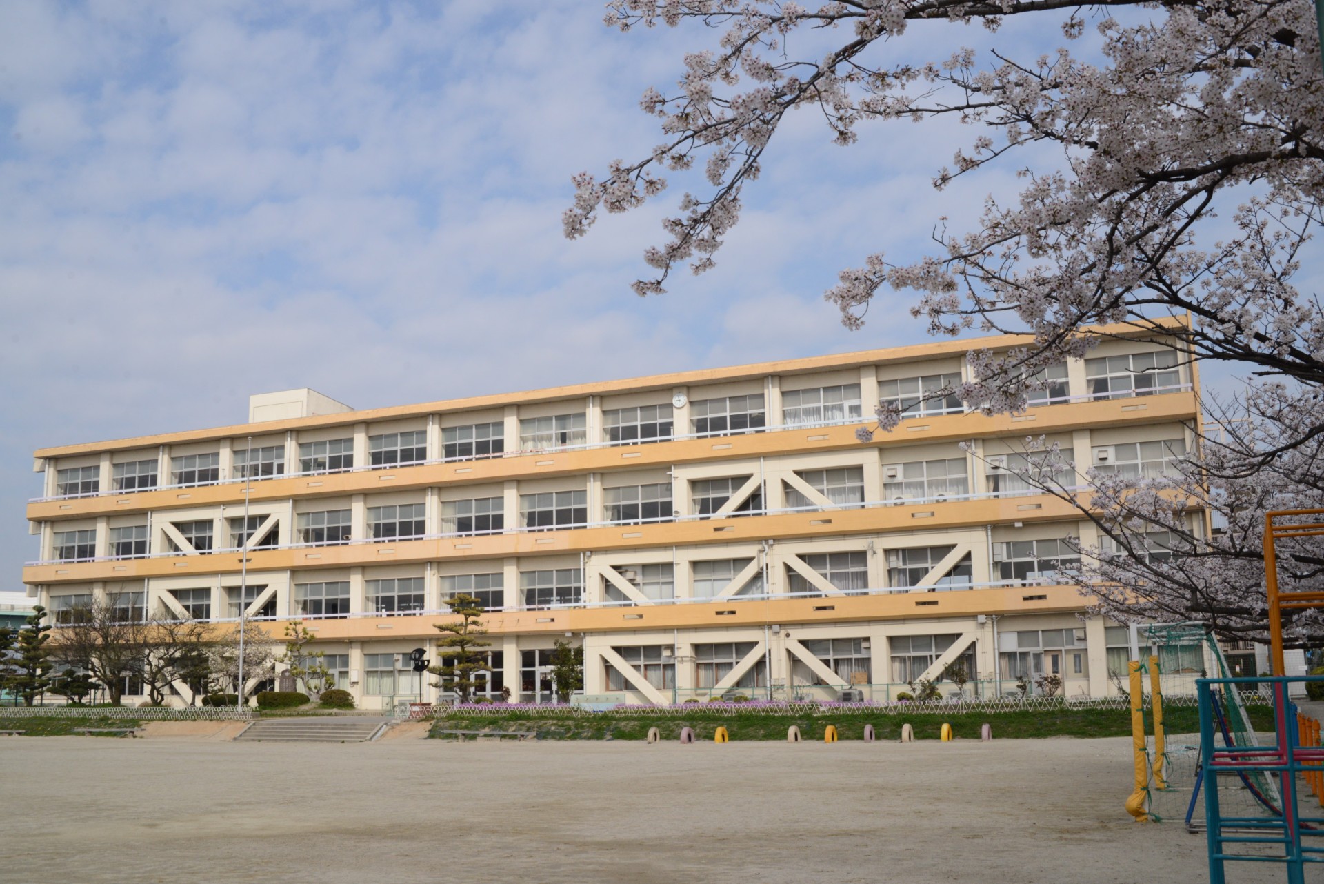 表紙写真.JPG